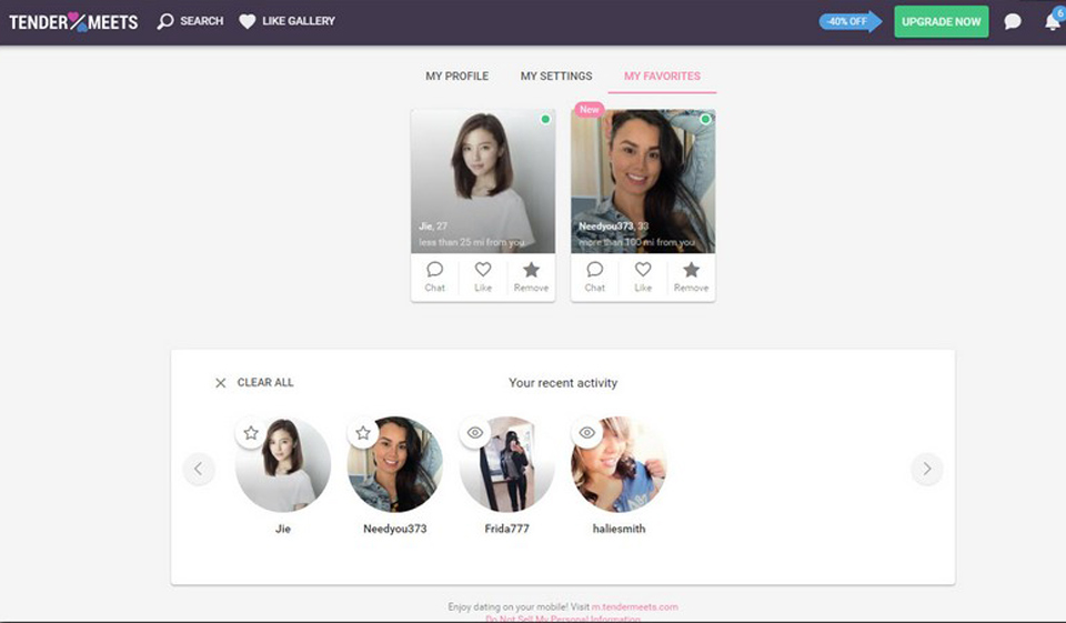 Hoe werkt TenderMeets?
